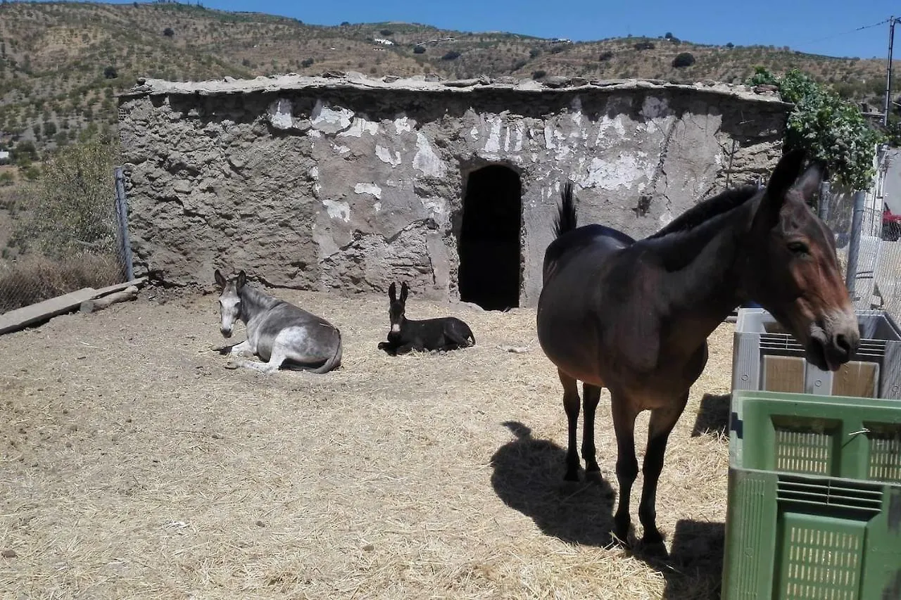 Una Joya En La Alpujarra Bubion Spain